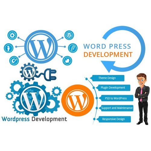 I will create simple wordpress website